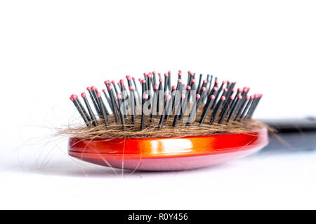 Pettinare i capelli a ciocche, fascio di capelli, un sacco di capelli sulla spazzola per capelli close up su sfondo bianco Foto Stock