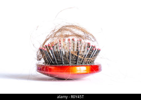 Pettinare i capelli a ciocche, fascio di capelli, un sacco di capelli sulla spazzola per capelli close up su sfondo bianco Foto Stock