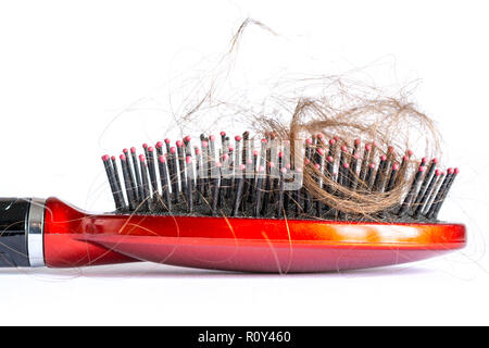 Pettinare i capelli a ciocche, fascio di capelli, un sacco di capelli sulla spazzola per capelli close up su sfondo bianco Foto Stock