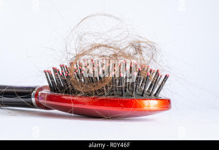 Pettinare i capelli a ciocche, fascio di capelli, un sacco di capelli sulla spazzola per capelli close up su sfondo bianco Foto Stock