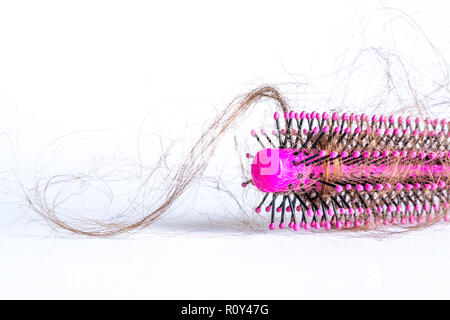 Pettinare i capelli a ciocche, fascio di capelli, un sacco di capelli sulla spazzola per capelli close up su sfondo bianco Foto Stock