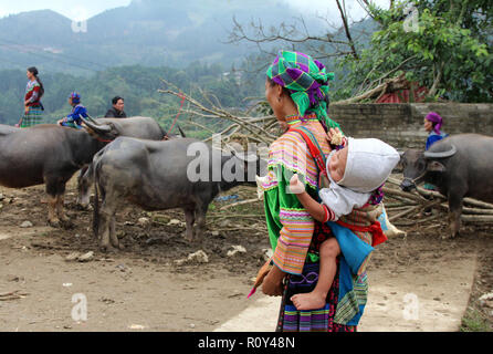 Donna Hmong porta il bambino sulla schiena attraverso la sezione di bestiame del Bac Ha mercato domenicale in Vietnam Foto Stock