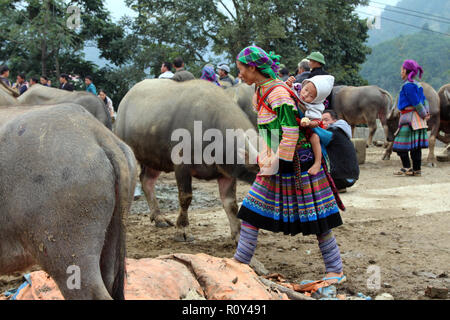 Donna Hmong porta il bambino sulla schiena attraverso la sezione di bestiame del Bac Ha mercato domenicale in Vietnam Foto Stock