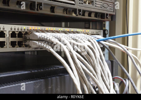 Pannello patch server rack con cordicelle grigio in background Foto Stock