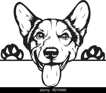 Pembroke Welsh Corgi Pedigree cane di razza testa Pet isolato ritratto sorride felice Faccia da cucciolo animale illustrazione Cartoon ritratto arte Artwork carino Illustrazione Vettoriale