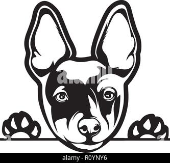 Rat Terrier Pedigree cane di razza testa Pet isolato ritratto sorride felice Faccia da cucciolo animale illustrazione Cartoon ritratto Arte Grafica Design carino Illustrazione Vettoriale