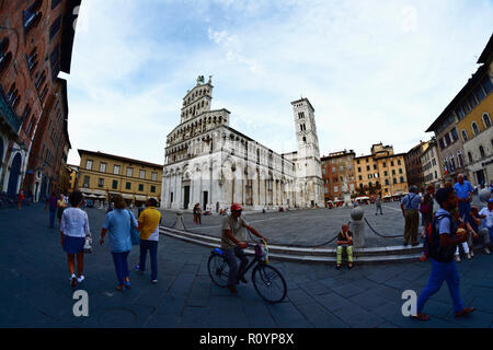 San Michele e Piazza San Michele in Foro, Cattolica romana chiesa basilica. Lucca e provincia di Lucca, Toscana, Italia, Europa Foto Stock