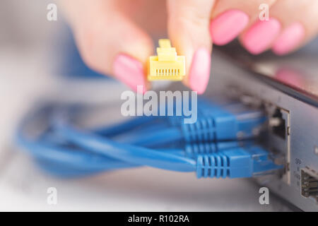 Blu e Grigi placcati oro ethernet patch cords Foto Stock