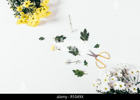 Composizione floreale rendendo bouquet. Vista dall'alto due mazzetti di bellissimi fiori aster con foglie verdi e un paio di forbici su sfondo bianco, piatto laici. Foto Stock