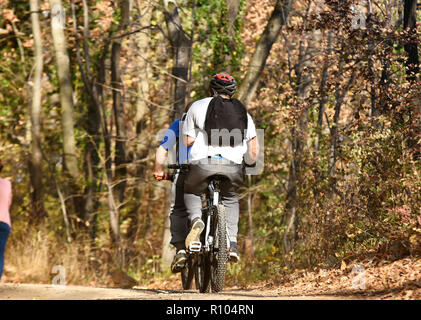 Ciclismo e mountain bike sulla pista ciclabile in autunno foresta. Mountain bike nel paesaggio autunnale foresta. Fruska Gora montagna vicino a Novi Sad,Sebia Foto Stock