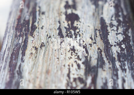 La texture del dipinto shabby panche di legno fatto di schede, close up, grunge background Foto Stock