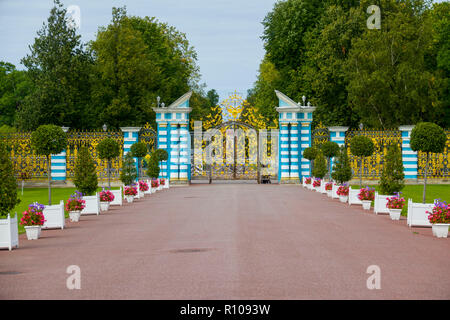 Palazzo di Caterina a Pushkin San San Pietroburgo, Russo Sankt Peterburg, precedentemente (1914-24) Petrograd e (1924-91) Leningrado, della città e del porto, extre Foto Stock