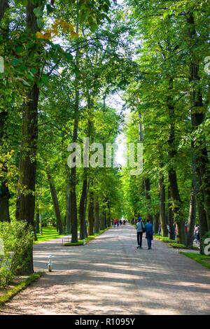 Palazzo di Caterina a Pushkin motivi gardens St San Pietroburgo, Russo Sankt Peterburg, precedentemente (1914-24) Petrograd e (1924-91) Leningrado, città Foto Stock