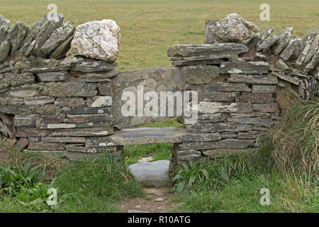 Il passaggio attraverso la parete di South West Coast Path nei pressi di Tintagel, Cornwall, Inghilterra, Gran Bretagna Foto Stock