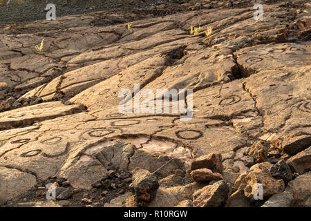 Incisioni rupestri in Waikoloa Campo, sul re's Trail ('Mamalahoa'), vicino a Kona sulla Big Island delle Hawaii. Scolpita nella roccia vulcanica. Foto Stock