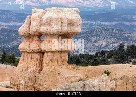 Vista delle formazioni hoodoo da lungo il cerchio nel Parco Nazionale di Bryce Canyon, Utah, Stati Uniti d'America. Foto Stock