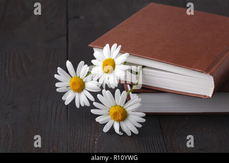 Bouquet di margherite bianco sul vecchio libro Foto Stock