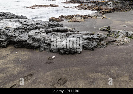 La roccia vulcanica sulla riva verde spiaggia di sabbia vicino a Hilo, Hawaii. Stampe di avvio in sabbia, ulteriori rocce e mare è in background. Foto Stock