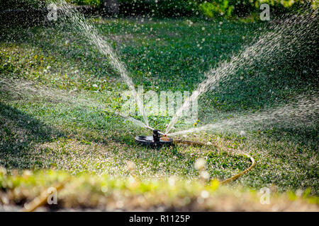 Irrigazione dispositivo irroratore per l'irrigazione dei prati, erba di irrigazione in estate durante la siccità. Foto Stock