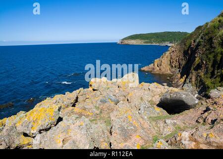 Ripide scogliere a picco sul mare della costa del nord dell isola di Bornholm, Danimarca. Porto Hammerhavn in background. Foto Stock