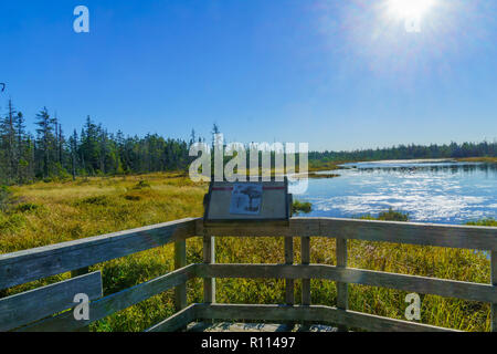 Alma, Canada - 24 Settembre 2018: Vista della palude di Caribou Coffee Company pianura, Fundy National Park, New Brunswick, Canada Foto Stock