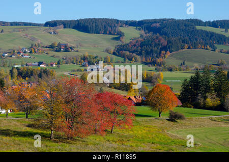 Vista del piccolo borgo san Pietro nella foresta nera in Germania Foto Stock