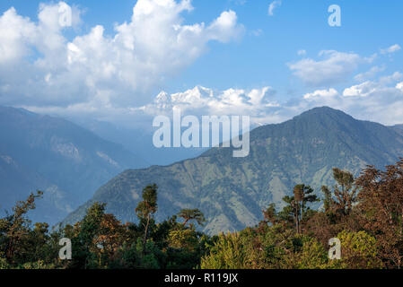 Gamma himalayana Doriya vista in tal Chopta, Uttrakhand Foto Stock