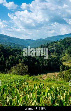 I campi di passo-passo in Bageswar - Himalaya Foto Stock
