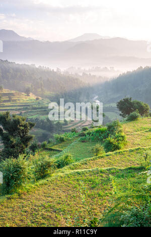 I campi di passo-passo in Bageswar - Himalaya Foto Stock