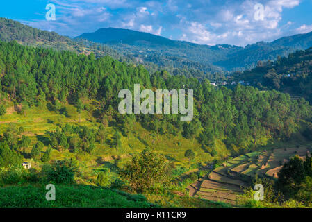 Fattoria in Bageswar, Uttrakhand, India Foto Stock