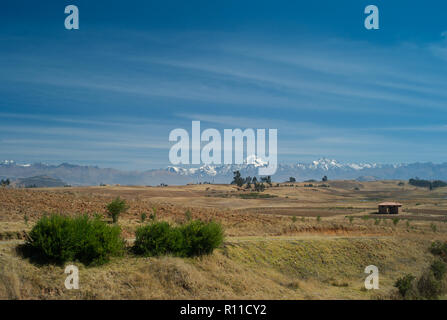 Bellissimo paesaggio nelle Ande peruviane con campi dorati, alberi e arbusti verdi, un impressionante coperta di neve la gamma della montagna e cielo blu Foto Stock