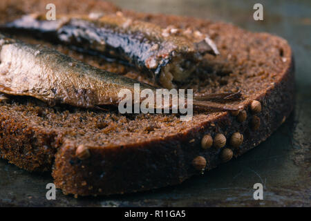 Sardine di stagno su dard sfondo con pane Foto Stock