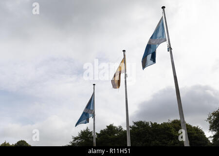 Bandiere nazionali al vento Foto Stock