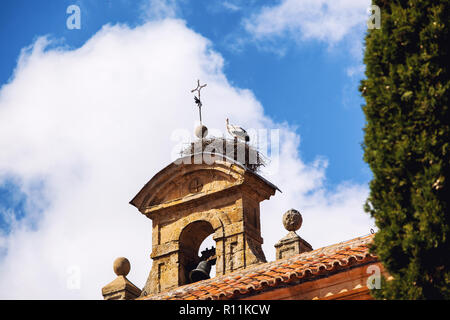 Cicogna il nido su un campanile di una chiesa in Salamanca, Spagna Foto Stock