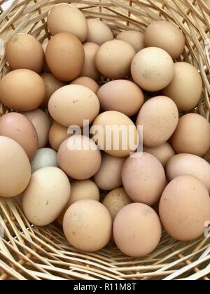 Fattoria fresco organici locali le uova in un cesto in legno Foto Stock
