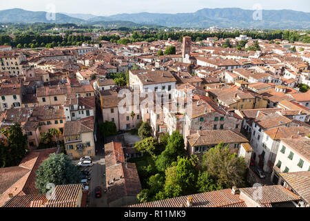 I tetti della città medievale di Lucca come vista dalla Torre Guinigi, o Torre Guinigi. A metà distanza è la Torre la Chiesa di San Pietro Foto Stock