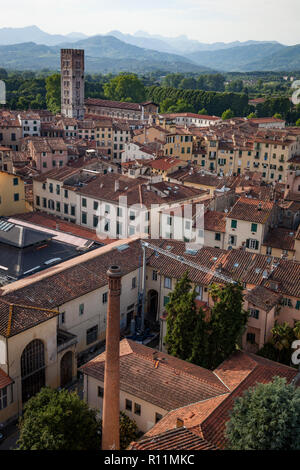 I tetti della città medievale di Lucca visto dalla Torre Guinigi, o Torre Guinigi. A metà distanza la Torre Campanaria del Duomo di Lucca Foto Stock