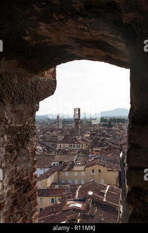 I tetti della città medievale di Lucca come vista dalla Torre Guinigi, o Torre Guinigi. A metà distanza è la Torre della Ore. Foto Stock