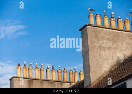 Gabbiani seduti sui comignoli contro un cielo blu in Cramond nei pressi di Edimburgo in Scozia Foto Stock