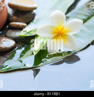 Spa oggetti, fiore e pietre per trattamenti di massaggio in acqua scuro dello sfondo. Foto Stock