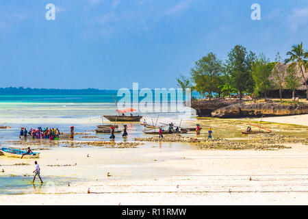 Izimkazi, Zanzibar, Tanzania - Gennaio 19, 2018: persone locali l'acquisto di pesce dal pescatore. Kizimkazi village. Zanzibar, Tanzania. Foto Stock