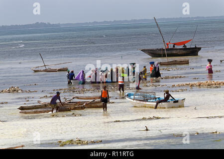 Izimkazi, Zanzibar, Tanzania - Gennaio 19, 2018: persone locali l'acquisto di pesce dal pescatore. Kizimkazi village. Zanzibar, Tanzania. Foto Stock