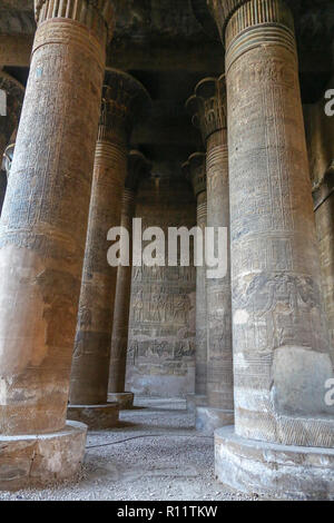 Il Tempio di Khnum a Esna, Esna Città, Esna, Qena Governatorato, Egitto, Nord Africa Foto Stock