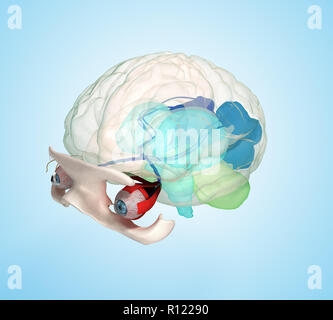 Occhio anatomia e struttura, i muscoli, i nervi e vasi sanguigni degli occhi 3d'illustrazione su blu Foto Stock