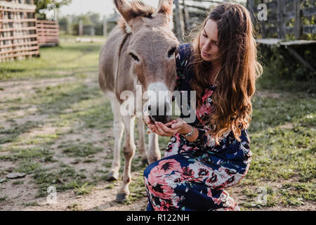 Donna asino di alimentazione Foto Stock