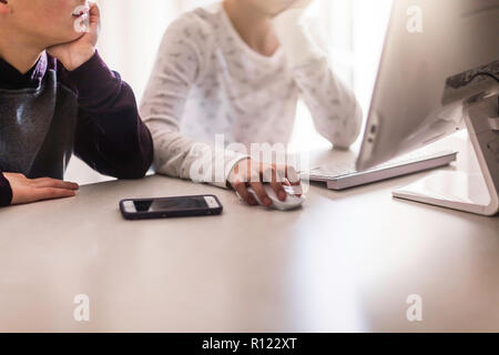 I fratelli utilizzando il computer a casa Foto Stock