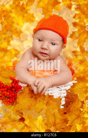 In autunno il neonato. Tempo di autunno scena. piccolo bambino con rosso giallo foglie di acero, bacche, zucca, mele, raccolto. Foto Stock