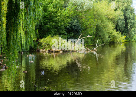 Linlithgow Loch a Linlithgow, Scozia Foto Stock