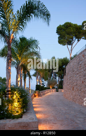 Sentiero illuminato da palme Foto Stock