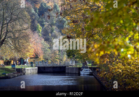 Autunno alberi lungo il fiume Tamigi a Cookham serratura, in Berkshire. Foto Stock